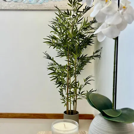 Apartamento Carreira Solar By Olá Madeira Funchal (Madeira)