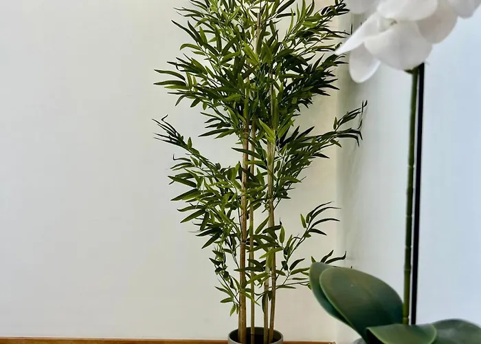 Apartament Carreira Solar By Ola Madeira Funchal (Madeira)