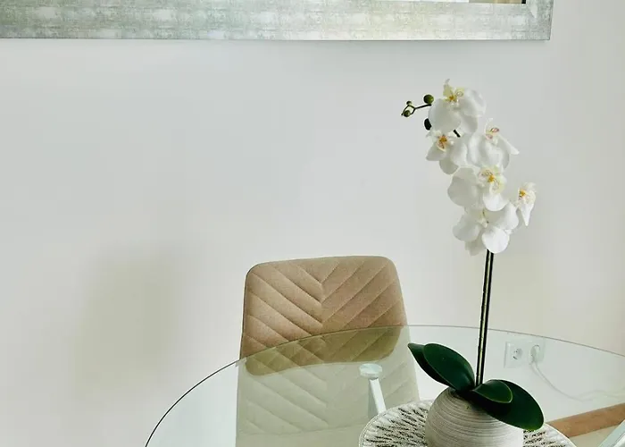 Carreira Solar By Ola Madeira Funchal (Madeira)